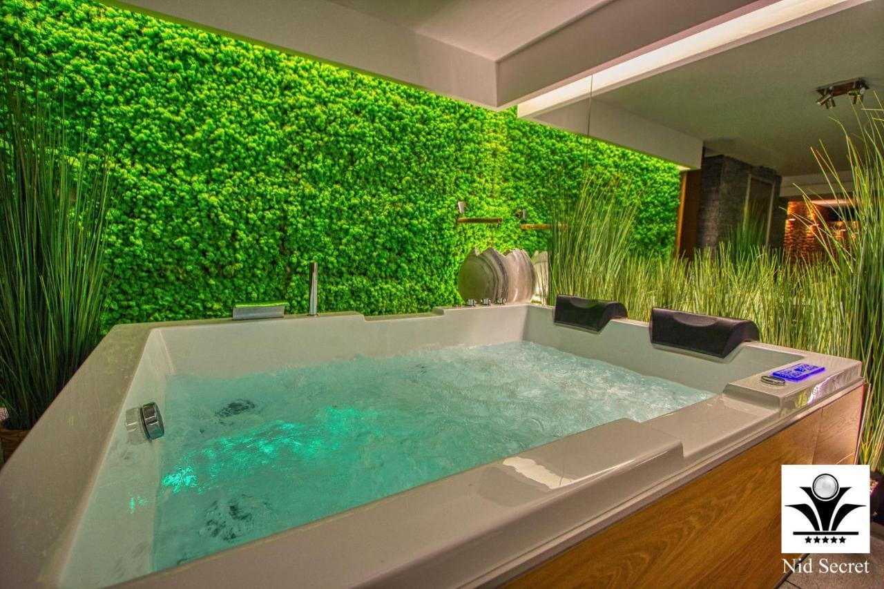 Panoramique 180 lac et montagne et Nid Secret spa romantique Annecy Extérieur photo